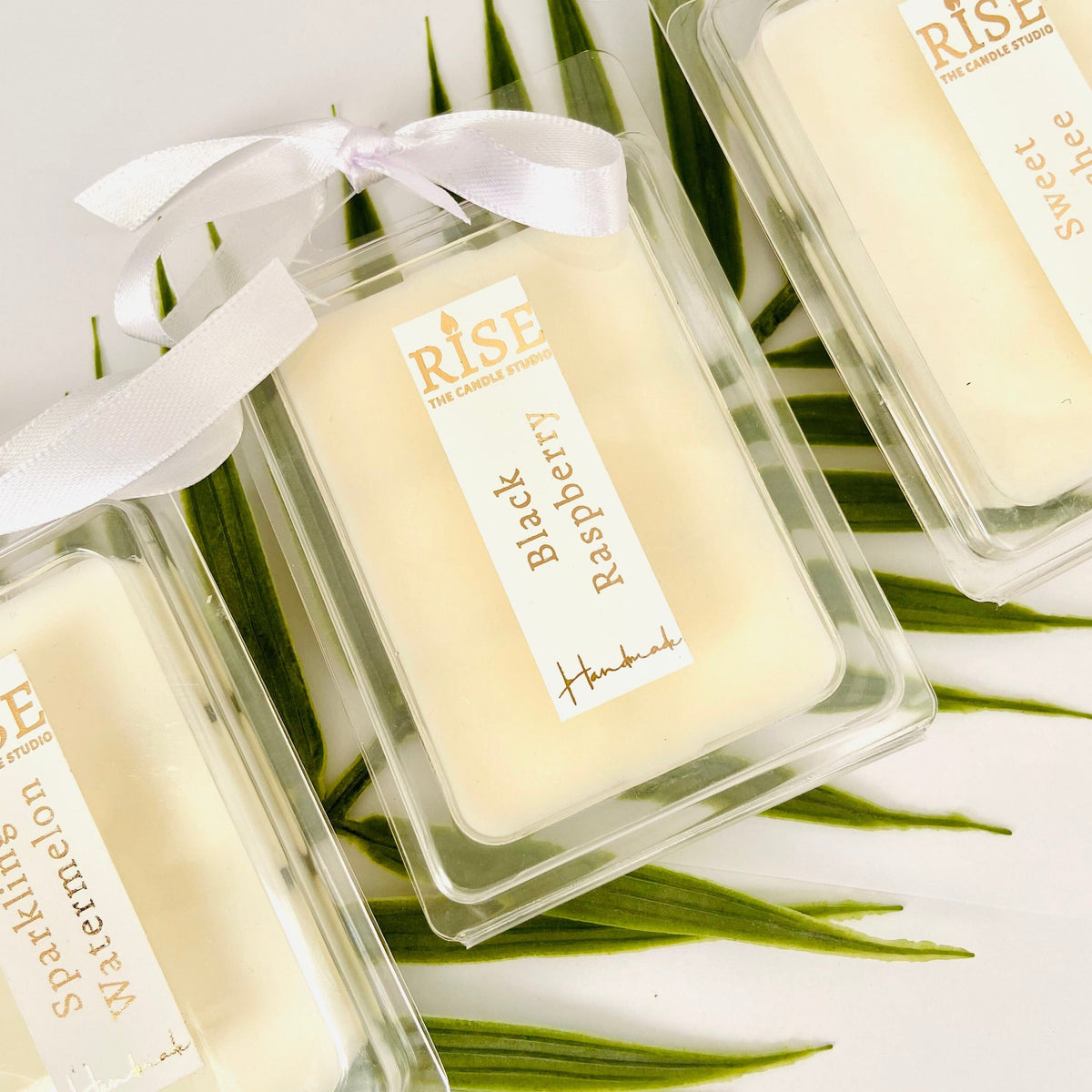 Scented Soy Wax Melts | 6 pieces in Clam Shell cover RISE The Candle Studio